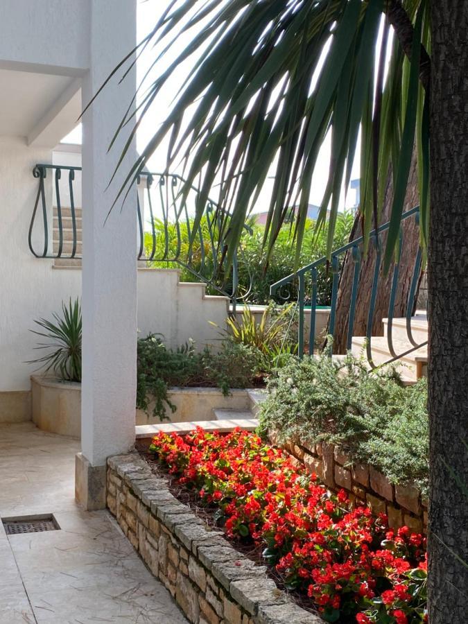 Bed & Breakfast Sobe Number 9